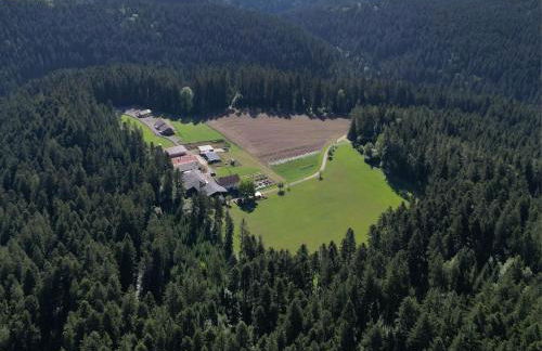 Blockhaus Almhütte Wiesenglück - Foto 7