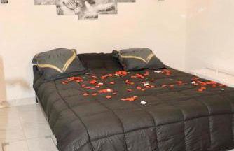 VILLA AVEC PISCINE love ROOM - Foto 11