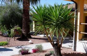 Agriturismo Su Solianu - Foto 73