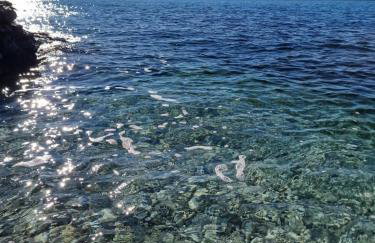 villa flores - Foto 31