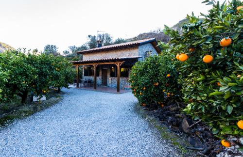 Cortijo Fuente del Lino - Foto 6