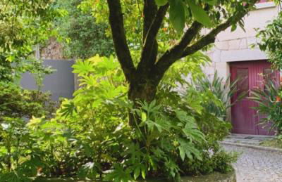 Casa Dos Tinocos - Foto 6