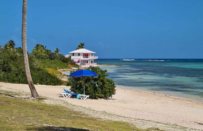 Coralito Bay Suites & Villas - Foto 59