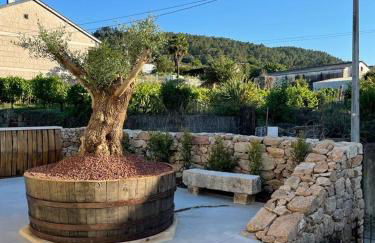 Cepas Da Cuenga - Foto 28