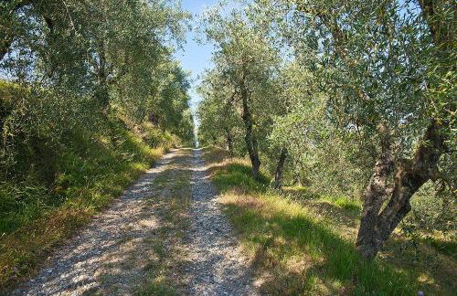 Podere l'Ulivo - Foto 20