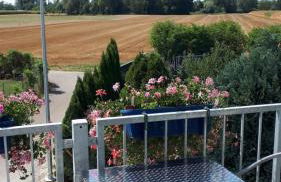 Beim Kellerschneider OG - Foto 18