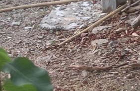 Valtaki Holiday Home - Photo 18