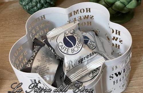 La Pigna dell'Etna - Foto 37