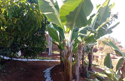 Holiday Home El pajal House Relax by Interhome - Foto 12