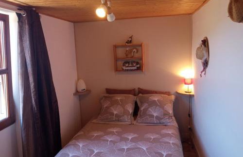 Le Chavannaclub - Foto 6