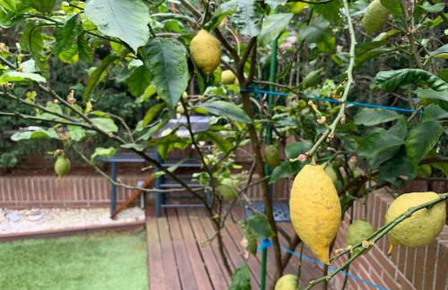 Apto con patio Parking Gratuito Anselmo Solar - Foto 14