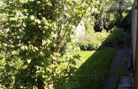 Wind & Wasser - Foto 22