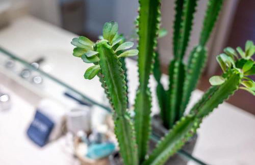 The Clubhouse Hideaway - The Greenview Den - Foto 45