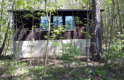 Waldhaus Wiesengrund - Foto 5