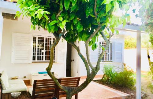 Casetta Nica - Foto 1