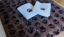 Ferienhaus Möhneaue Urlaub mit Hund - Foto 4