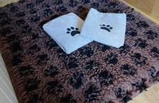 Ferienhaus Möhneaue Urlaub mit Hund - Foto 4