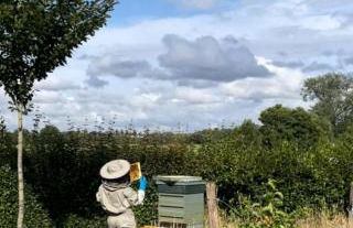 Ty Odyn. Best of Both Worlds. Rural yet Connected. - Photo 6