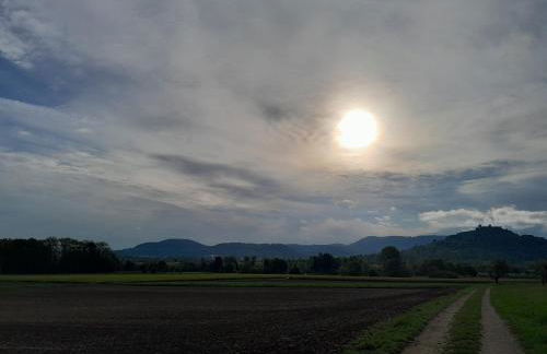 Limburgstube - Foto 13