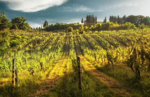 Fattoria Di Pancole - Foto 72