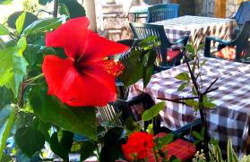 Sandy Beach Apartments - Foto 39