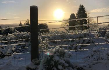 Woodside Cabin - Photo 13