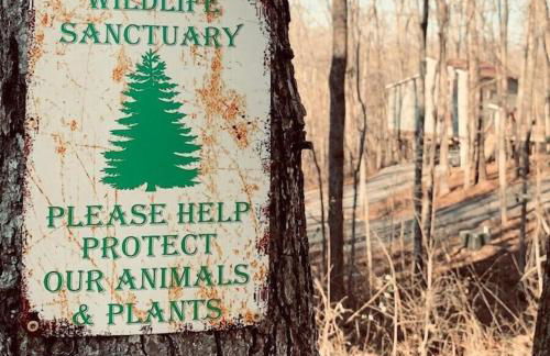 Peaceful Hideaway Treehouse near Little River Canyon - Foto 18