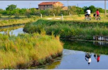 Casa EUROPA - Foto 69