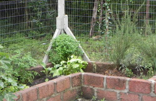 V do Lago Negro - Photo 3