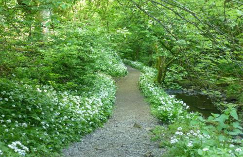 Middlehope Cottage - Foto 28