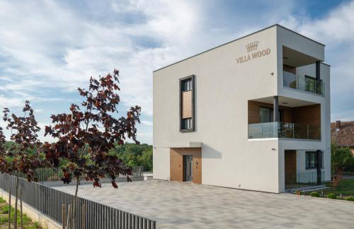 Luxury apartments Villa Wood NEW - Foto 29