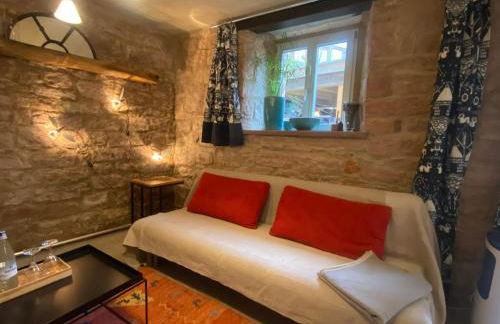 Mauersegler - Foto 10