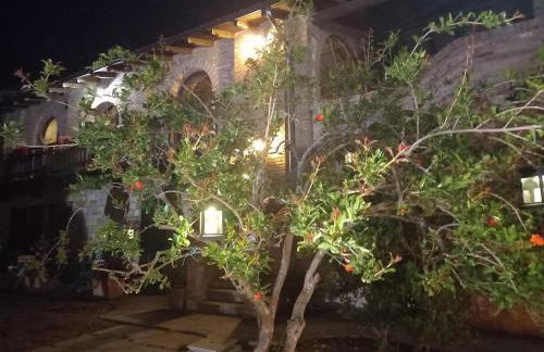 Agriturismo cergallina - Photo 23