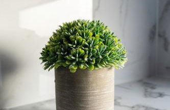 Rosewood Cottage - Foto 28