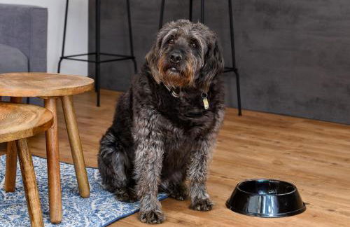 Berg Fux ideal für Familien mit Hund, 2 Schlafzimmer, Balkon, Parkplatz - Foto 18