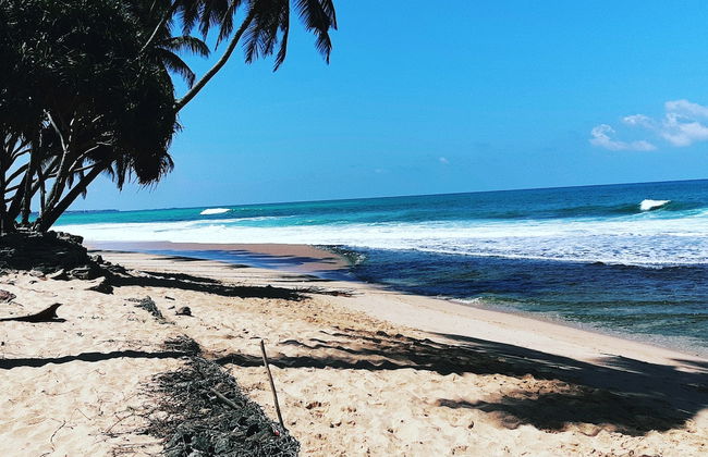 Tranquility - Foto 1