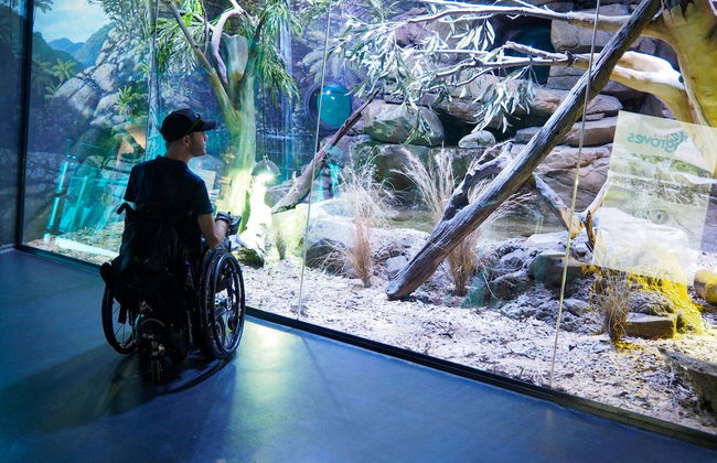 Healthy Living Centre - Foto 16