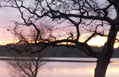 Lake Front cottage - Photo 25