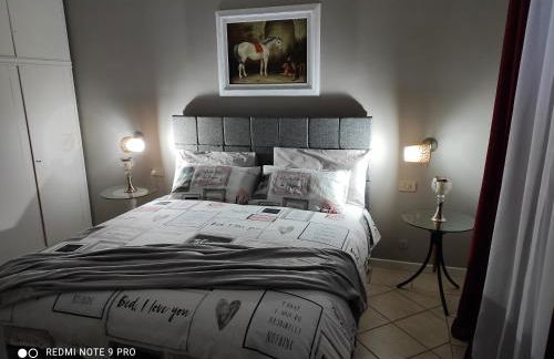 Cactus house - Foto 46