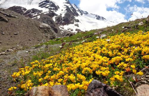 Haus Talblick "Neuräutl" Ferienwohnung 2 - Foto 28