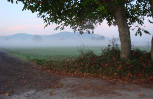 Dreams Valley - Foto 51