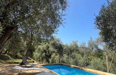 Podere Il Piantoneto - Foto 2