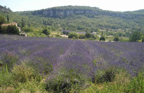 Lou pichoun studio au coeur d'un village provençal - Foto 27
