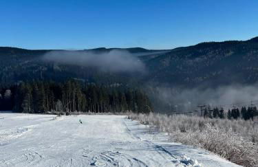 Unique flat Vogtland-Panorama by respect host - Foto 20