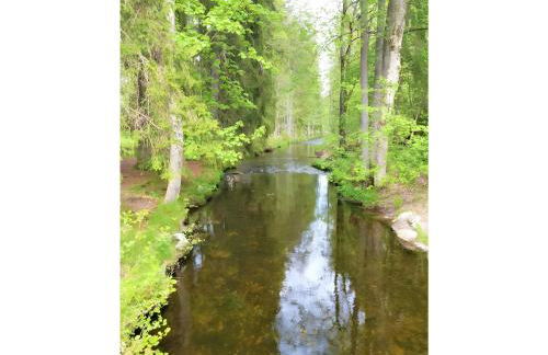 Ferienwohnung am Brunnen - Foto 25