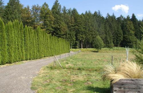 Premium apartment in Saint-Quirin with garden - Foto 29