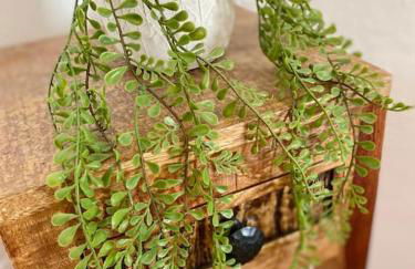 Le Méli-Mélo de Beauval - Foto 21