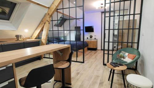 Hypercentre : vue cathédrale - verrière - cosy - Foto 1