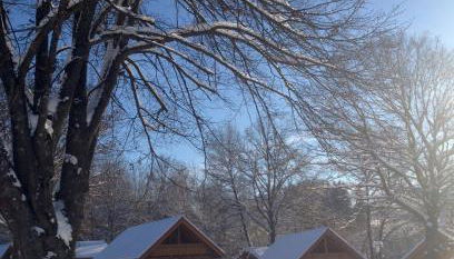 Ferienpark Arber - Foto 3