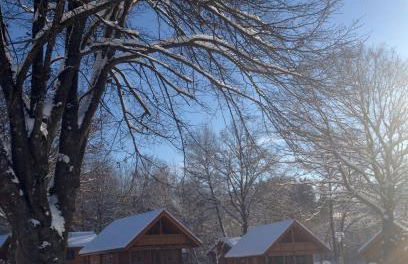 Ferienpark Arber - Foto 3